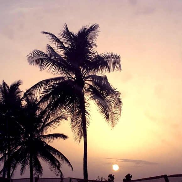 Meet your Posher, Jay - Picture 1 of 1